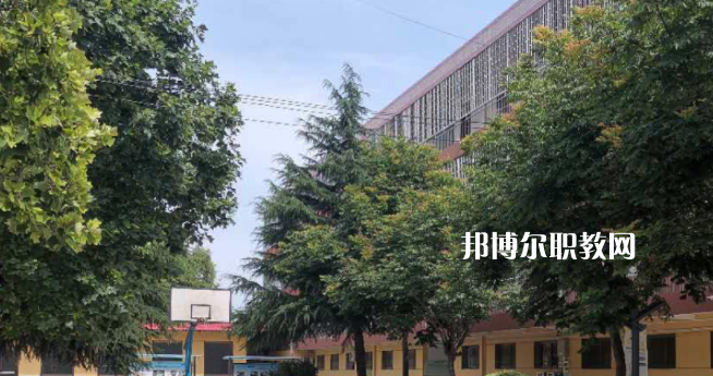 2023楊凌師范學(xué)校招生計(jì)劃 招生人數(shù)是多少(附要求、條件、對(duì)象)