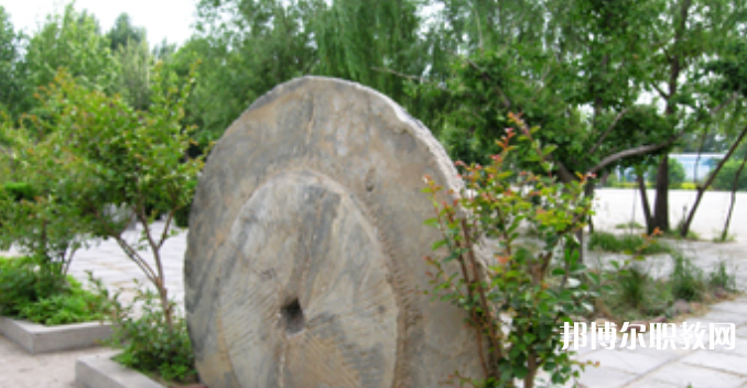 野風(fēng)美術(shù)中學(xué)怎么樣、好不好