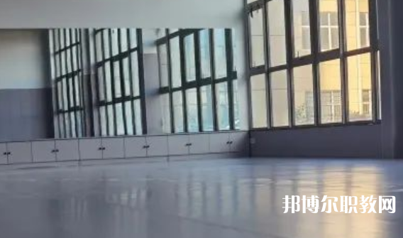 2023秦皇島市藝新舞蹈學校招生計劃 招生人數是多少(附要求、條件、對象)