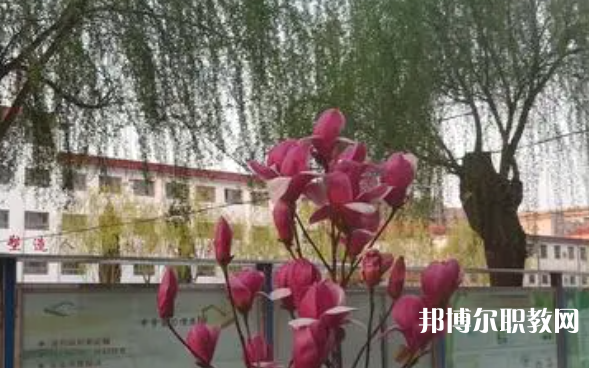2023柏鄉(xiāng)縣職教中心招生計(jì)劃 招生人數(shù)是多少(附要求、條件、對(duì)象)