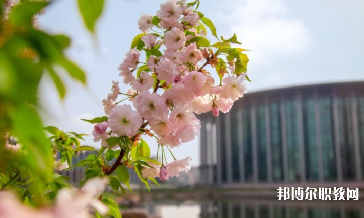 河南藝術(shù)職業(yè)學(xué)院中專部怎么樣、好不好