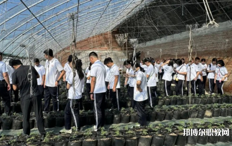2024營口市農(nóng)業(yè)工程學(xué)校招生計(jì)劃 招生人數(shù)是多少(附要求、條件、對象)
