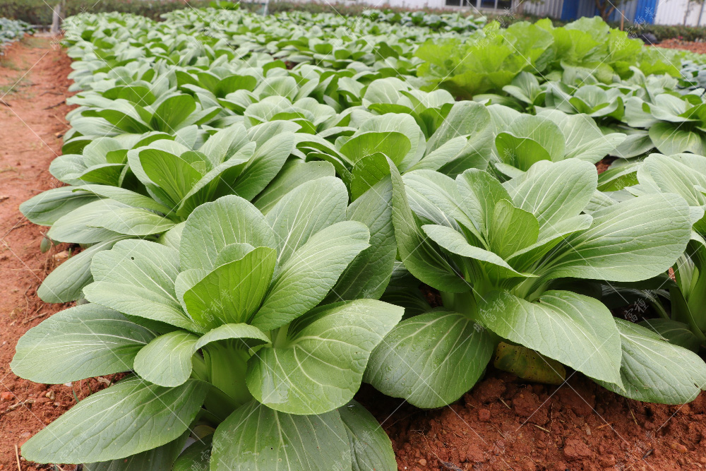 1557817286643745.jpg IMG_4176.jpg