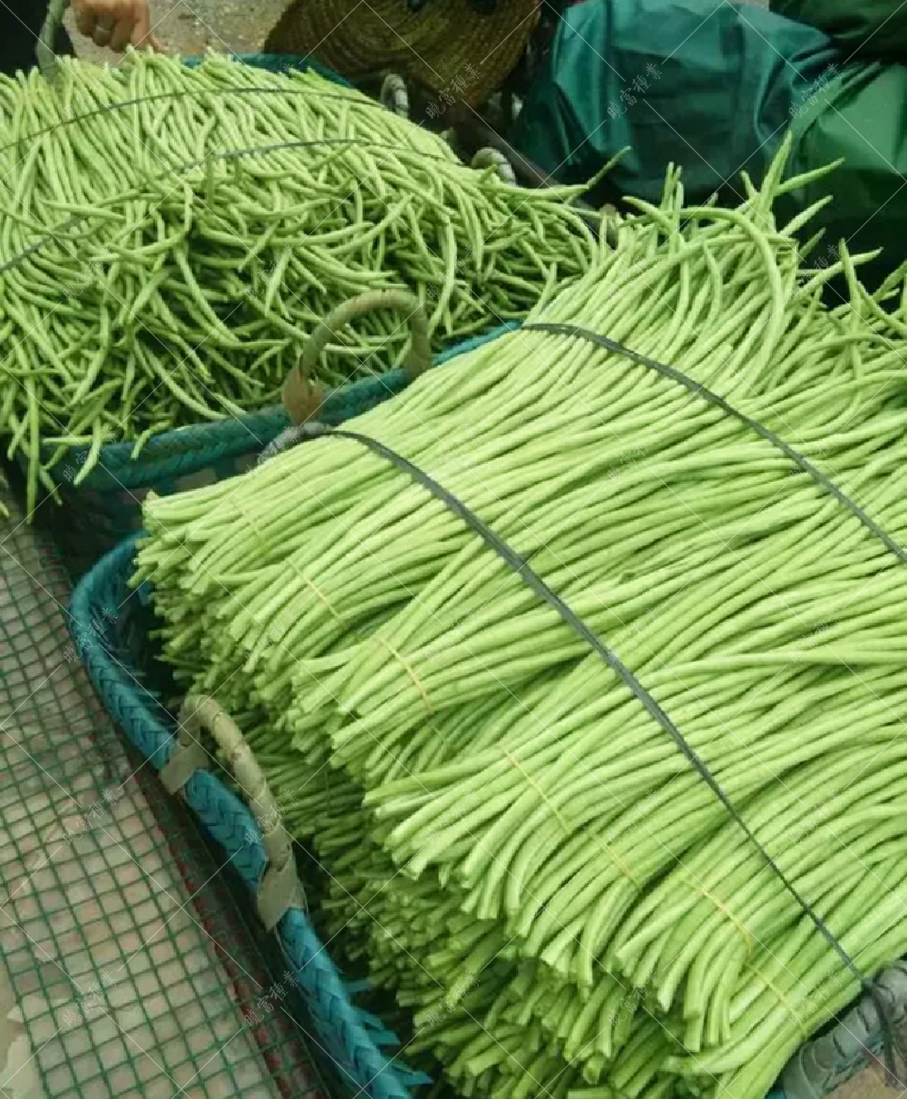 1558056275224879.jpg 52.jpg