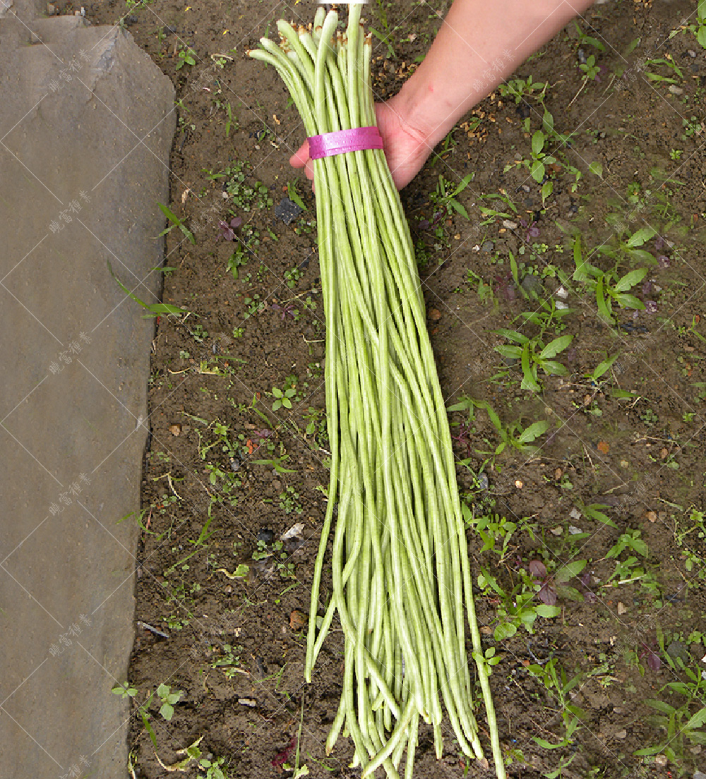 1558057915763124.jpg 52.jpg