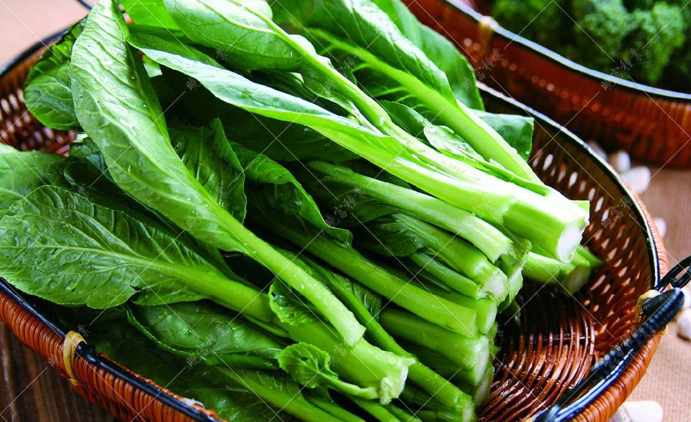 1558577987425781.jpg 0042040212945680_b.jpg