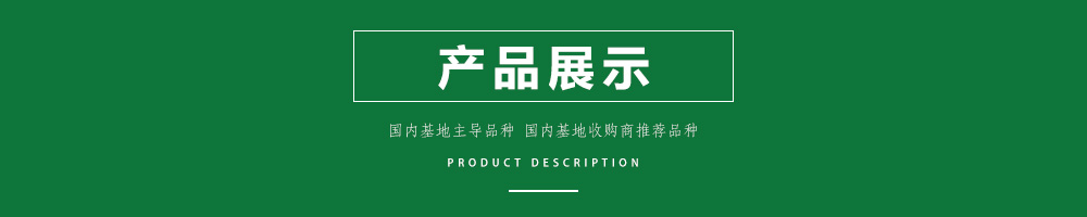 1558595741457607.jpg 00新產(chǎn)品.jpg