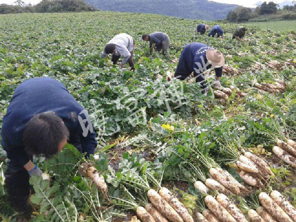 1585788717641573.jpg 06.jpg