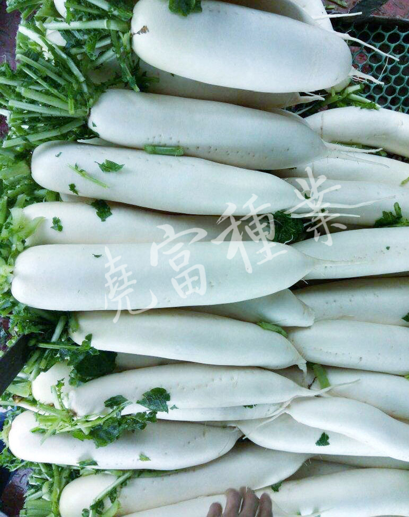 1585788868954932.jpg 06.jpg