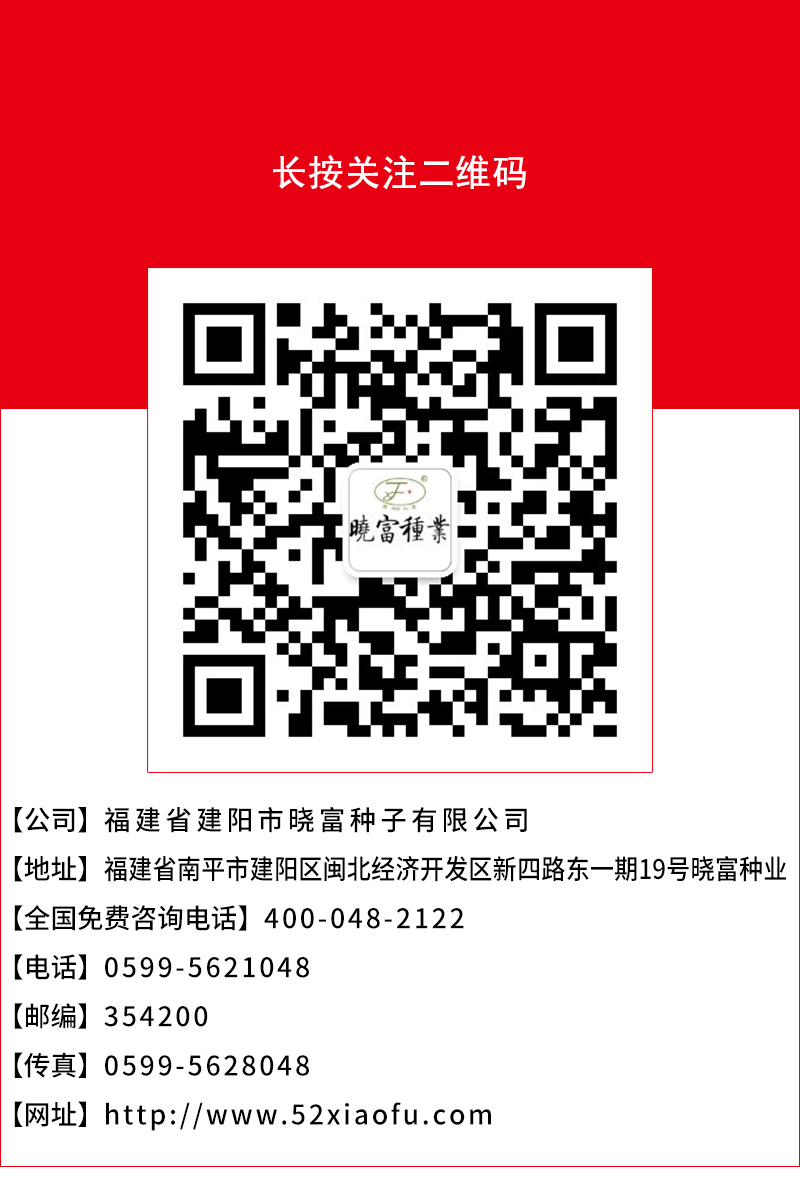 1602036183211274.jpg 頁底.jpg