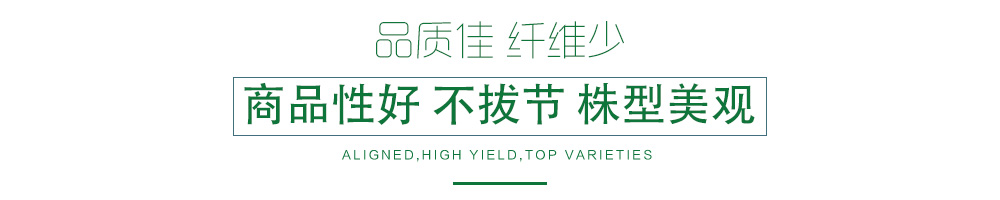 1602151212535574.jpg 07.jpg